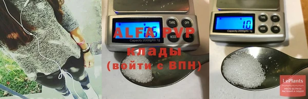 спиды Лагань