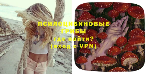 мяу мяу мука Лабытнанги