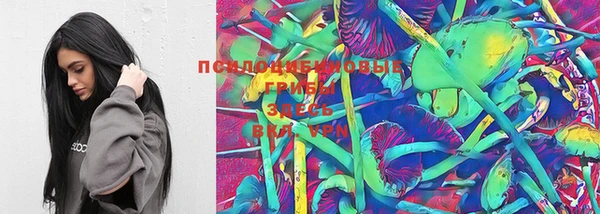 мяу мяу мука Лабытнанги