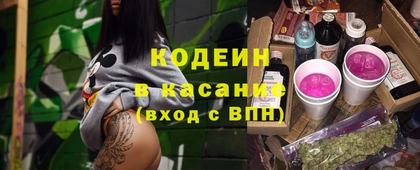спиды Лагань