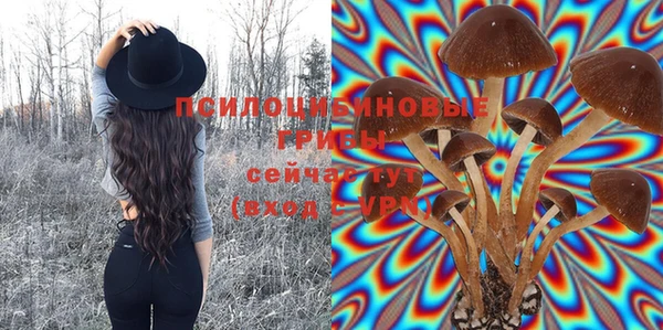 мяу мяу мука Лабытнанги