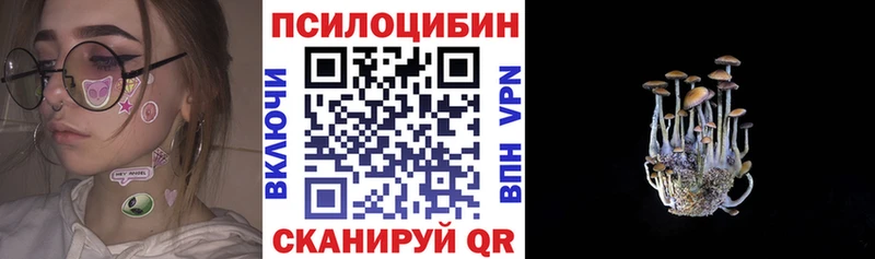 Купить Электроугли Псилоцибиновые грибы прущие грибы